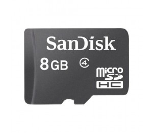 SanDisk 8GB Memory